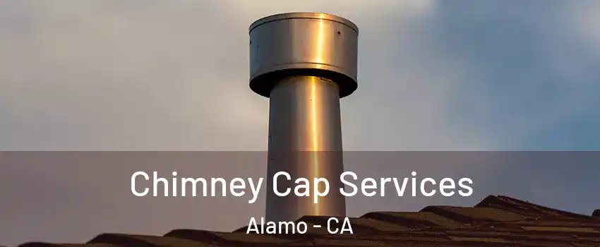  Chimney Cap Services Alamo - CA
