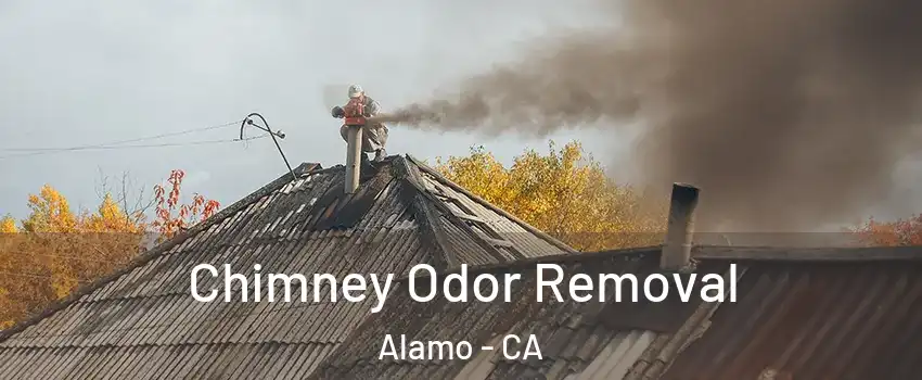  Chimney Odor Removal Alamo - CA