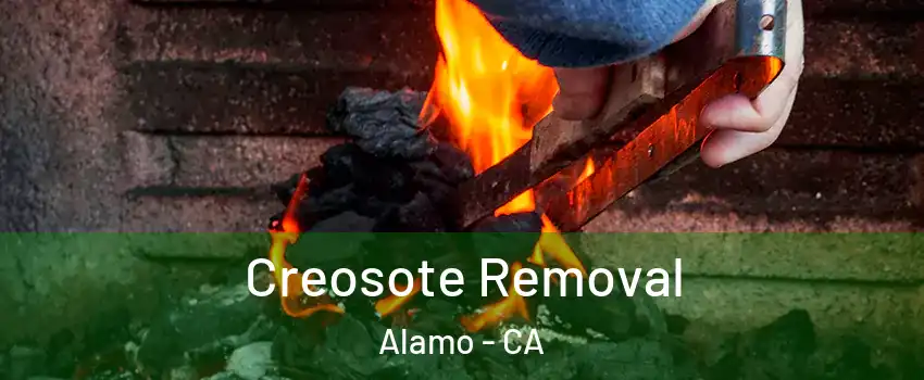  Creosote Removal Alamo - CA