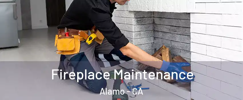  Fireplace Maintenance Alamo - CA