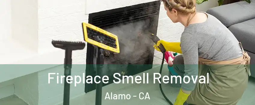  Fireplace Smell Removal Alamo - CA