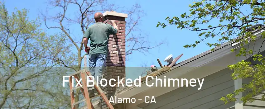  Fix Blocked Chimney Alamo - CA
