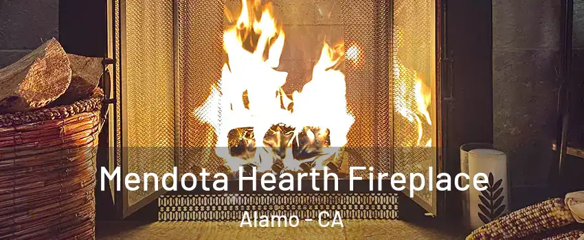  Mendota Hearth Fireplace Alamo - CA